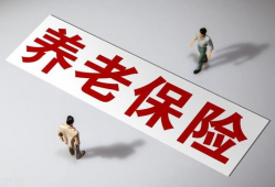 国产精品久久久久久一级毛片,揭秘久久久久久一级毛片的魅力与影响