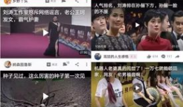 今日吃瓜网红爆料新闻视频,今日热门新闻视频揭秘，吃瓜群众热议不断！”