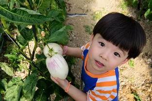 娱乐吃瓜酱关于童年